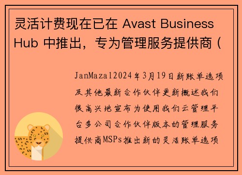 灵活计费现在已在 Avast Business Hub 中推出，专为管理服务提供商 (MSPs) 设